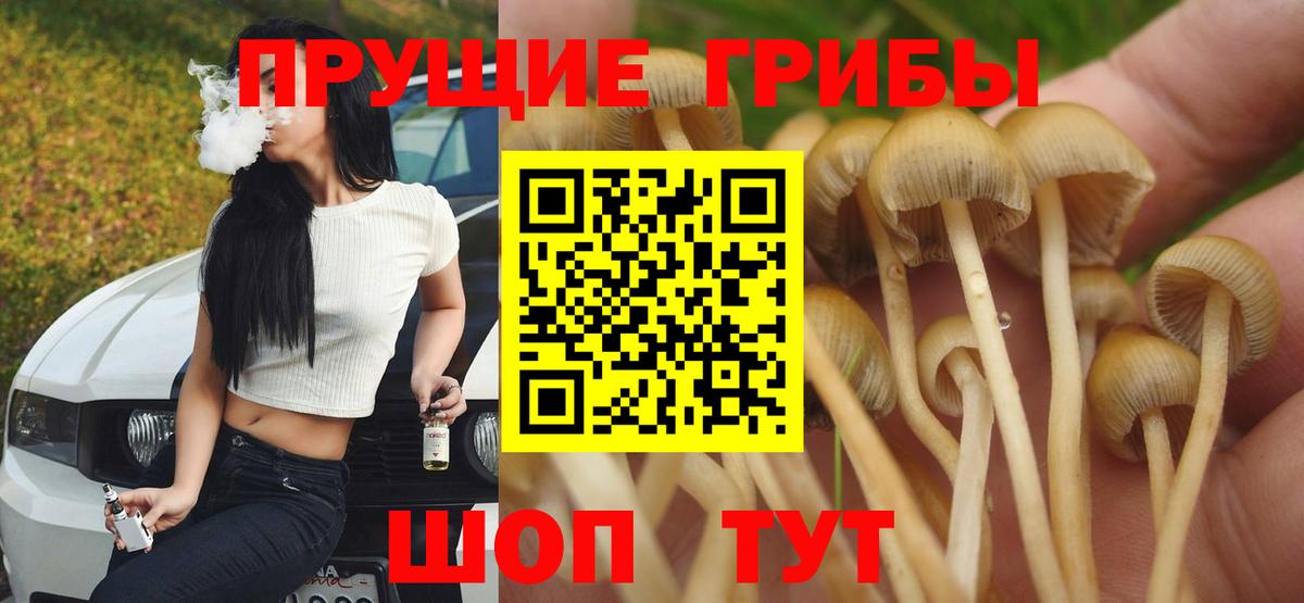 Галлюциногенные грибы Cubensis Лосино-Петровский